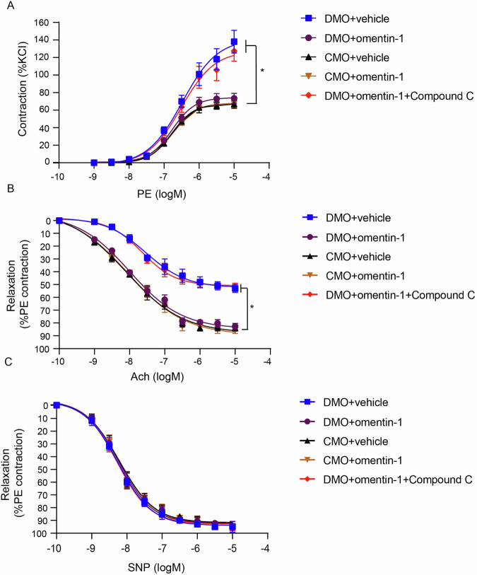 Omentin-1 protects against endothelial dysfunction through the AMPK/KLF2/eNOS pathway in adult rat offspring exposed to maternal diabetes.