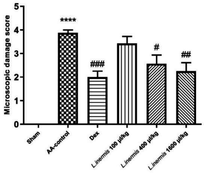 Protective effect of Henna (<i>Lawsonia inermis</i> L.<i>)</i> fixed oil (a Persian medicine preparation) on acetic acid-induced ulcerative colitis in rats.
