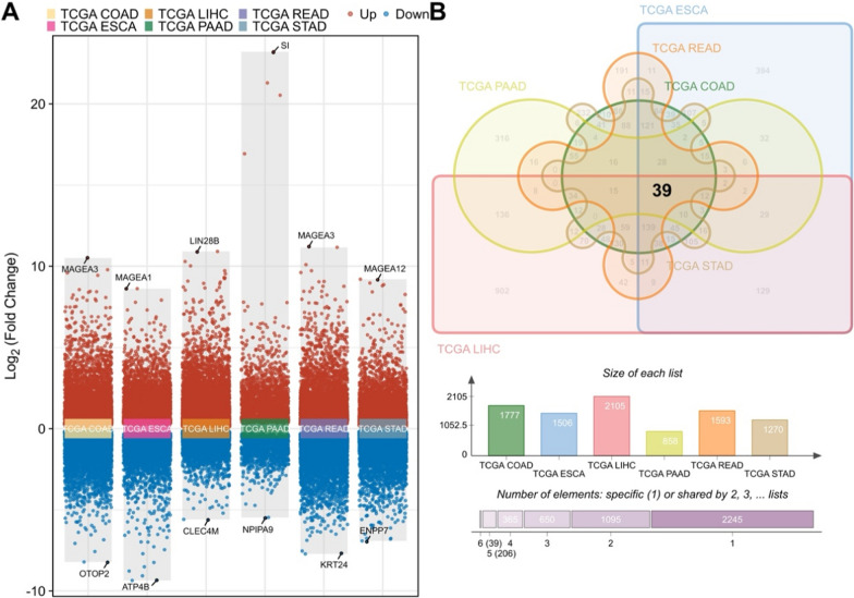 Epigenetic regulation of TNNT1 in gastrointestinal cancers prognostic implications and clinical significance.