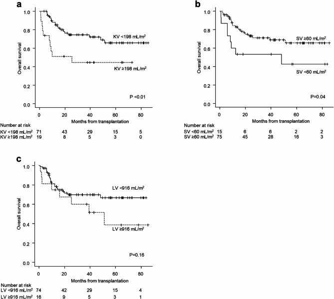 Significance of kidney and spleen volumes analyzed via three-dimensional computed tomography prior to allogeneic stem cell transplantation.