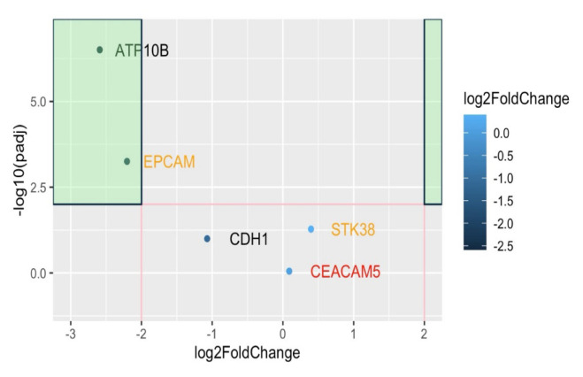 Nanovaccine targeting in colorectal cancer: a multi-dataset analysis of CEA expression, cytokine profiles, and co-expressed genes.