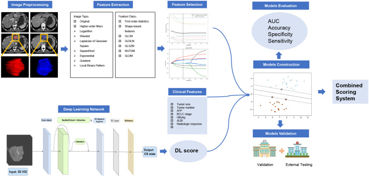 A CT-Based Deep Learning Radiomics Scoring System for Predicting the Prognosis to Repeat TACE in Patients with Hepatocellular Carcinoma: A Multicenter Cohort Study.