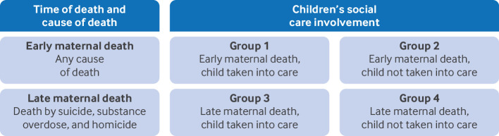 Characteristics, outcomes, and maternity care experiences of women with children's social care involvement who subsequently died: national cohort study and confidential enquiry.