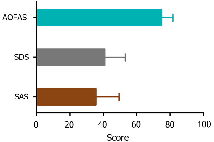 Correlation of anxiety and depression with ankle function in chronic ankle instability patients and analysis of risk factors.