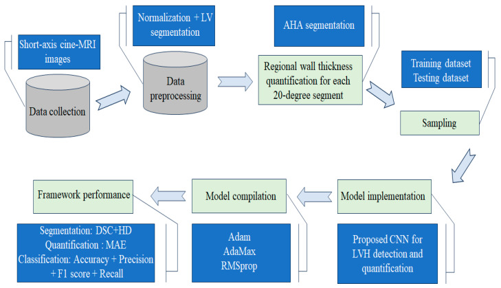 Deep Learning-Based Algorithm for the Classification of Left Ventricle Segments by Hypertrophy Severity.