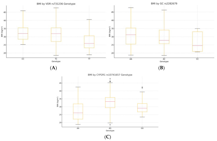 The Association of <i>VDR</i>, <i>CYP2R1</i>, and <i>GC</i> Gene Polymorphisms, Dietary Intake, and BMI in Regulating Vitamin D Status.