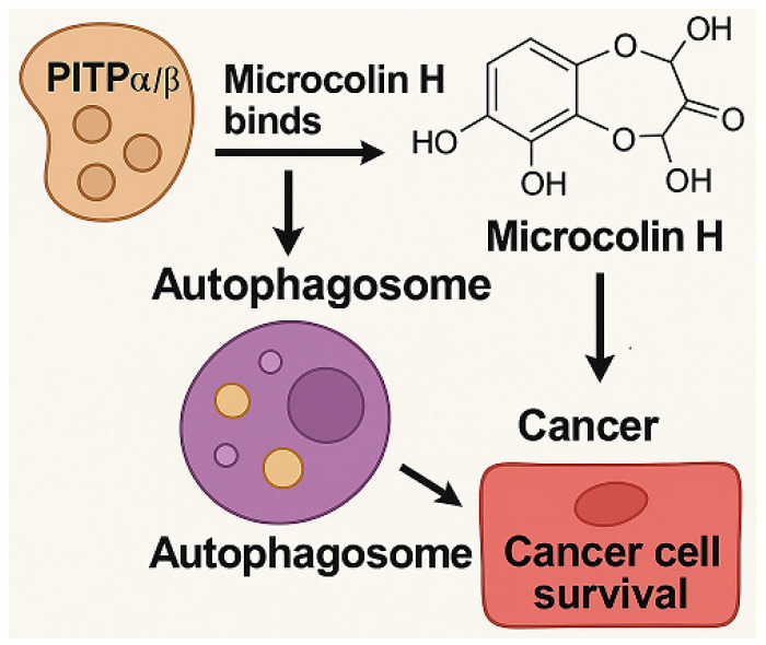 Marine-Derived Compounds: A New Horizon in Cancer, Renal, and Metabolic Disease Therapeutics.