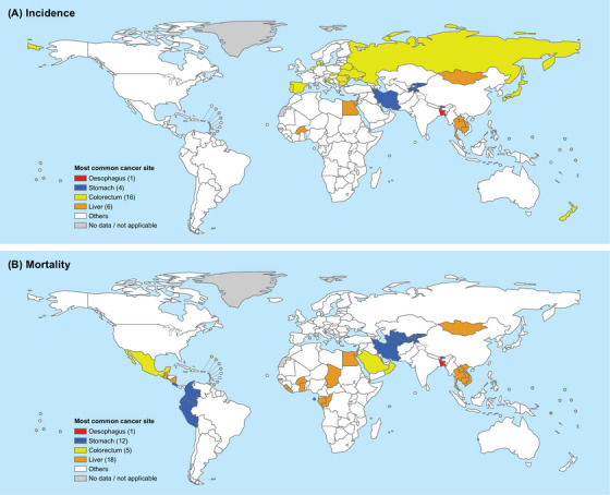 Global trends and epidemiological shifts in gastrointestinal cancers: insights from the past four decades.