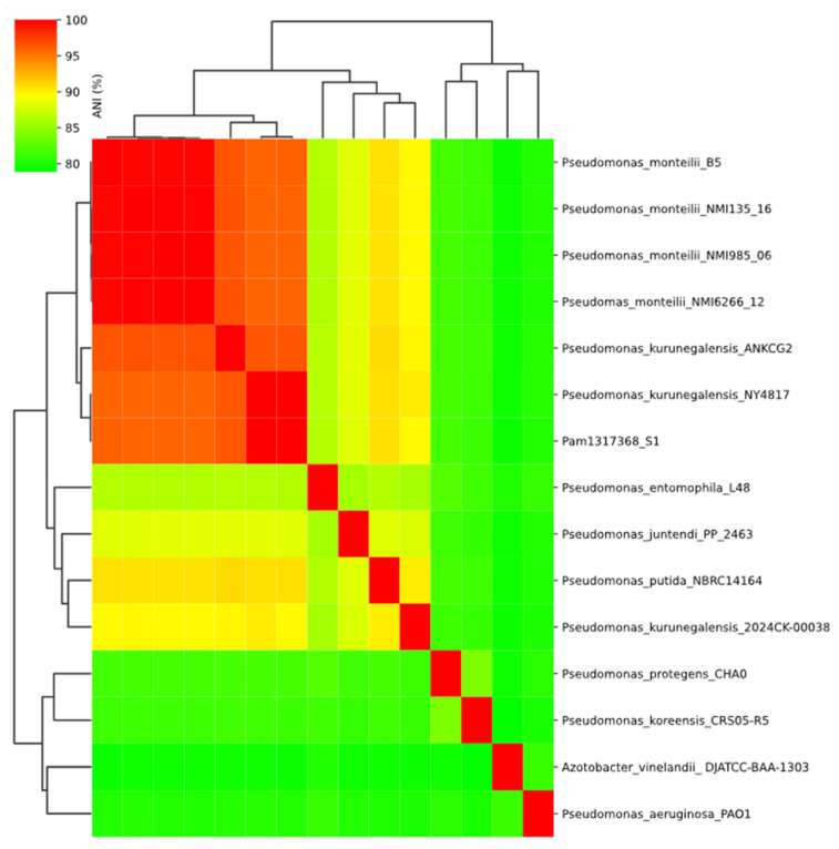 Characterization of <i>Pseudomonas kurunegalensis</i> by Whole-Genome Sequencing from a Clinical Sample: New Challenges in Identification.
