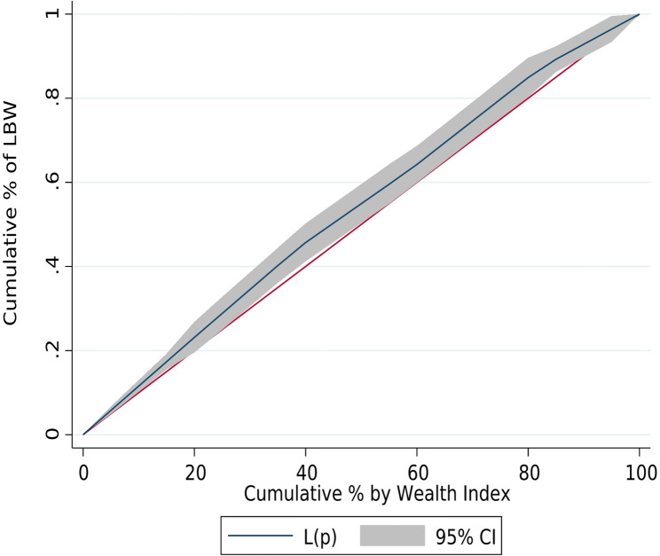 Socioeconomic inequality and determinants of low birth weight in Kenya: a multilevel analysis using 2022 demographic and health survey.