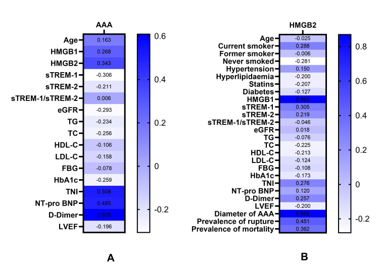 The Association Between Serum HMGB2 Levels and Abdominal Aortic Aneurysm in Males: Insights Into the HMGB2-TREM Pathway.