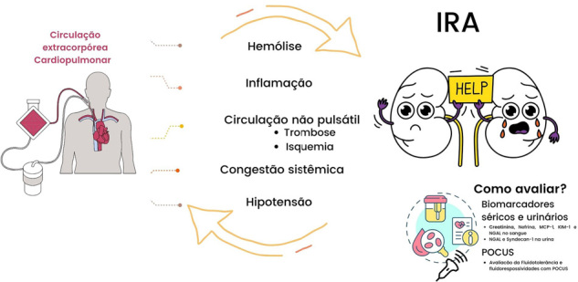 Early prediction matters: renal biomarkers in coronary artery bypass grafting.