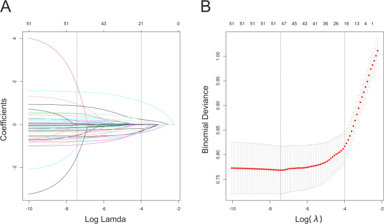 Development and Testing a New Online Dynamic Nomogram for Contrast-Induced Acute Kidney Injury in Elderly Patients with ST-Segment Elevation Myocardial Infarction.