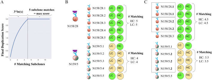 clonevdjseq: A workflow and bioinformatics management system for sequencing, archiving, and analysis of VDJ sequences from clonal libraries.