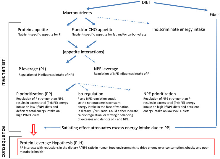 Protein, fiber, and exercise: a narrative review of their roles in weight management and cardiometabolic health.