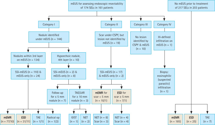 Submucosal saline injection and mini-probe endoscopic ultrasound to assess endoscopic resectability of colorectal subepithelial tumors.