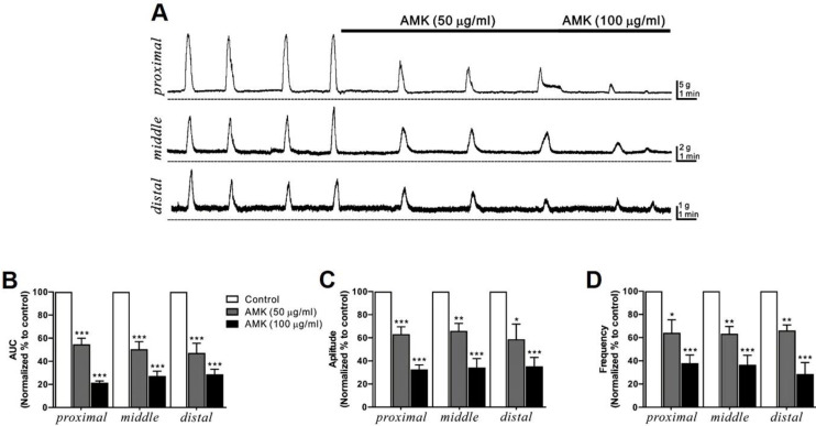 <i>Atractylodes macrocephala</i> Koidzumi modulates human colonic motility via ICCs pacemaker suppression and cAMP/ATP-sensitive K⁺ channel pathways.