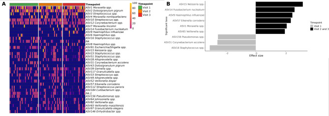 Early development and dynamics of nasopharyngeal microbiota in infants during the COVID-19 pandemic: a 2-year prospective birth cohort study.