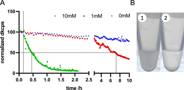 Efficient encapsulation of CRISPR-Cas9 RNP in bioreducible nanogels and release in a cytosol-mimicking environment.