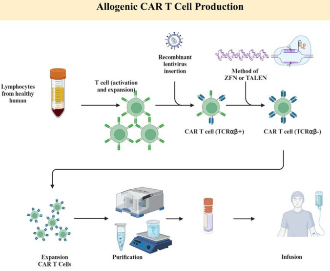 Colorectal Cancer; Novel Approaches in Chimeric Antigen Receptors (CAR) -T cell.