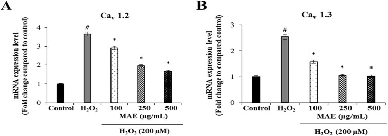 Modulating intracellular calcium dynamics with alkaloids: A novel strategy against oxidative neurodegeneration.