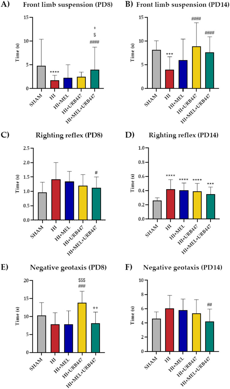 Neuroprotective effect of the combination therapy of melatonin and URB447 after neonatal hypoxia-ischemia.