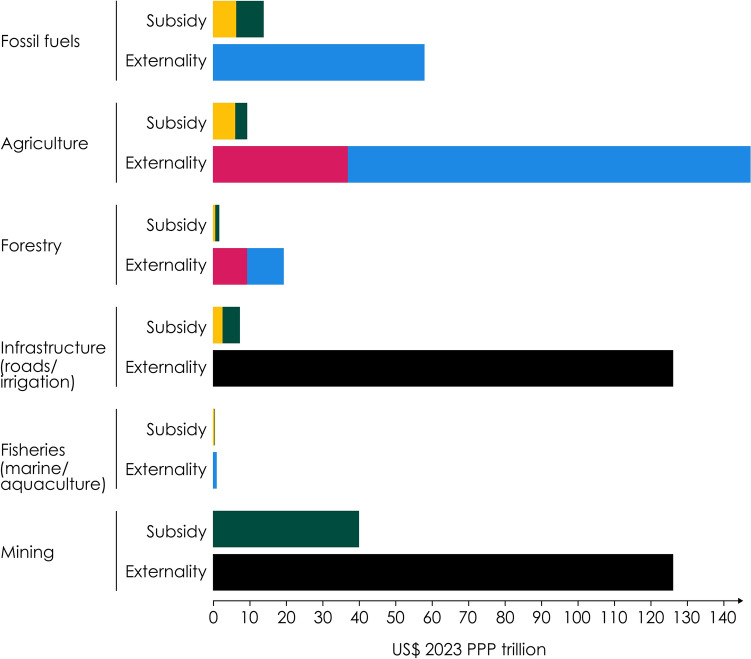 The costs of subsidies and externalities of economic activities driving nature decline.