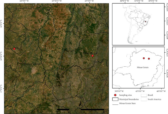 Phylogenetic Diversity and Extracellular Enzymatic Activities of Yeasts and Yeast-Like Fungi Isolated From <i>Qualea grandiflora</i> (Vochysiaceae) in Cerrado Areas in Northern Minas Gerais, Brazil.