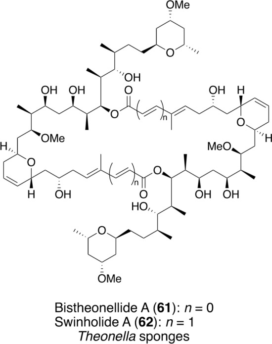 Natural products that target p53 for cancer therapy.