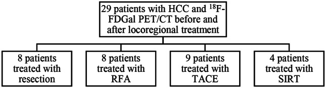 Evaluation of the effect of locoregional treatment on metabolic liver function in hepatocellular carcinoma using <sup>18</sup>F-FDGal PET/CT.