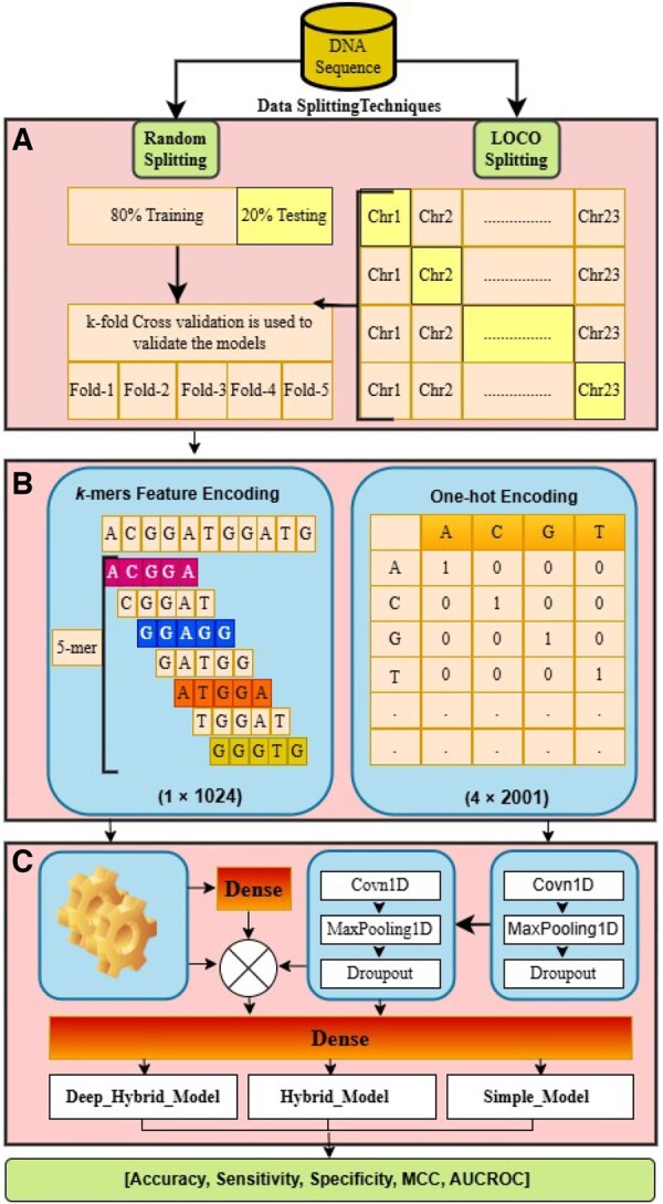 Hybrid representation learning for human m<sup>6</sup>A modifications with chromosome-level generalizability.
