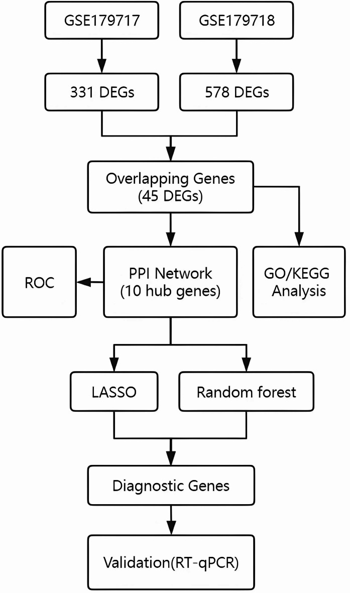Integrating machine learning and bioinformatics approaches to identify novel diagnostic gene biomarkers for diabetic mice.