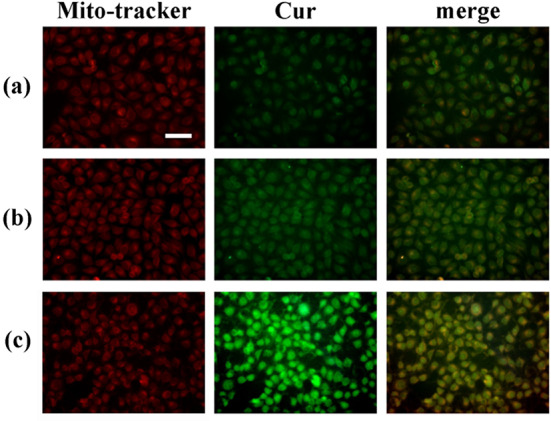 Correction: Novel dual mitochondrial and CD44 receptor targeting nanoparticles for redox stimuli-triggered release