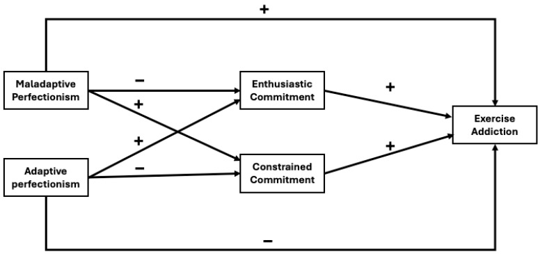 The Role of Perfectionism and Sport Commitment on Exercise Addiction Among Hungarian Athletes.
