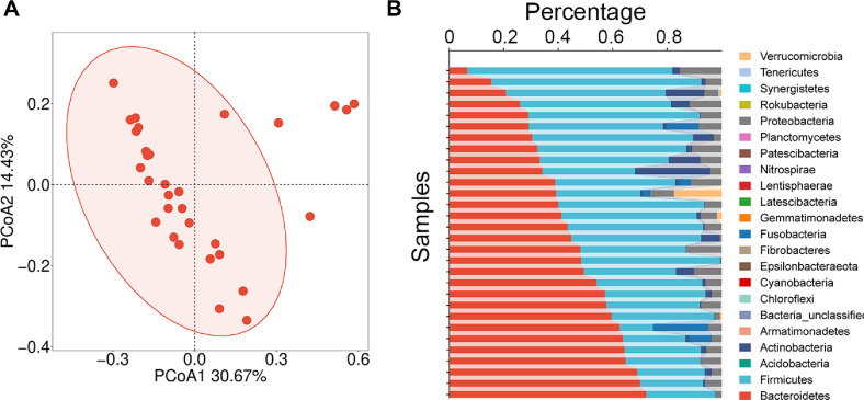Association between Gut Microbiota Composition and Copy Number Variations in Human Genes <i>FAM66D</i> and <i>TAS2R43</i>.