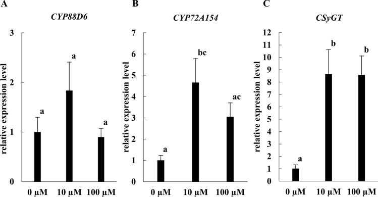 Overwhelming glycyrrhizin production in Glycyrrhiza glabra induced by rihizobial symbiosis