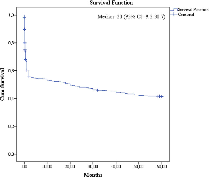 Superiority of pan-immune inflammation value, systemic inflammation index, and CALLY scores prognostic value for mortality of ischemic stroke patients followed in intensive care unit.