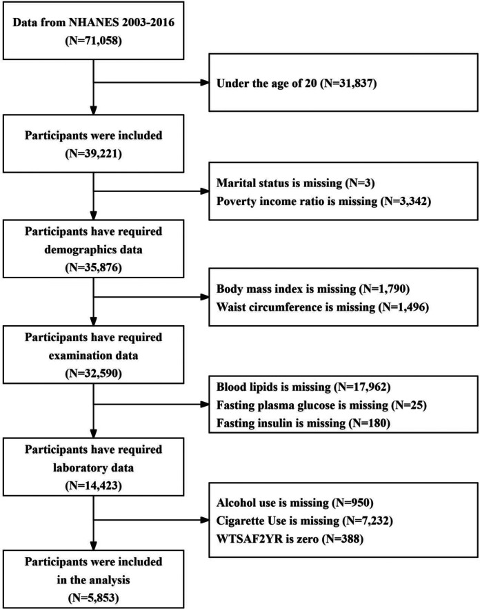 The association between non-high-density lipoprotein cholesterol to high-density lipoprotein cholesterol ratio and the risk of insulin resistance: results from the NHANES 2003-2016.