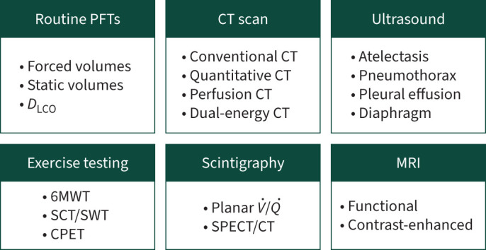 Pulmonary function prediction in lung cancer resection candidates: the latest insights.