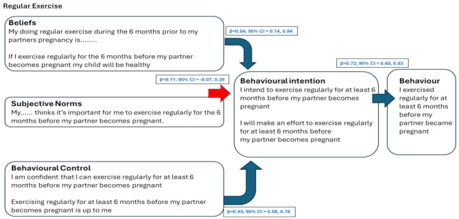Preconception health beliefs and intentions predict behaviours among expectant male partners: a cross-sectional study.