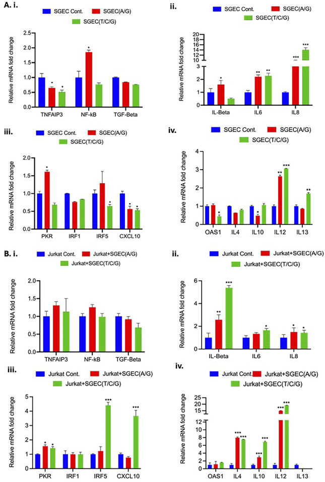 CRISPR-Cas9 editing of <i>TNFAIP3</i> variants in salivary gland epithelial cells to study Sjögren's disease pathogenesis.