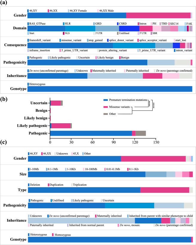 Unraveling novel variants in the NF1 gene and investigating potential therapeutic strategies.