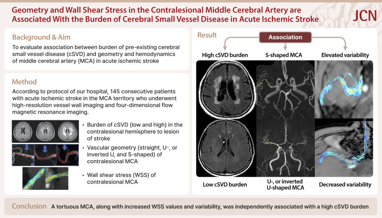 Geometry and Wall Shear Stress of the Contralesional Middle Cerebral Artery Are Associated With the Burden of Cerebral Small Vessel Disease in Acute Ischemic Stroke.