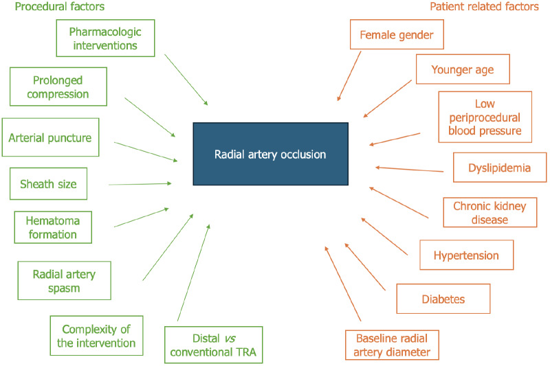 Structural radial artery modifications following transradial access: Mechanisms, clinical implications, and preventive strategies.