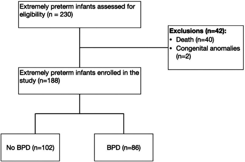 Outcomes of extremely preterm infants with bronchopulmonary dysplasia: a retrospective cohort study.
