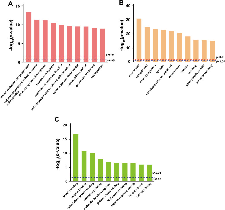 Unveiling the role of PSD95 phosphorylation after traumatic brain injury: insights from phosphoproteomic analysis.