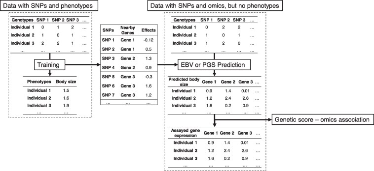 Genetic score omics regression and multitrait meta-analysis detect widespread <i>cis</i>-regulatory effects shaping bovine complex traits.