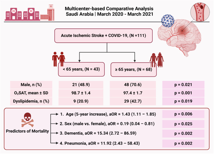 Clinical features and mortality risk in Acute Ischemic Stroke with COVID-19: a multicenter-based comparative analysis of elderly and younger populations in Saudi Arabia.