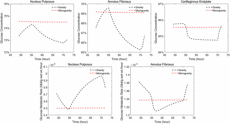 Numerical study on the effect of microgravity on biomechanics in human lumbar intervertebral discs.