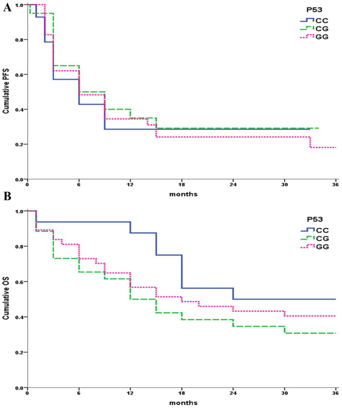 Contribution of TP53 and MDM4 Genetic Polymorphisms as a Risk Factor in Non-Hodgkin Lymphoma in Adult Egyptian Patients.